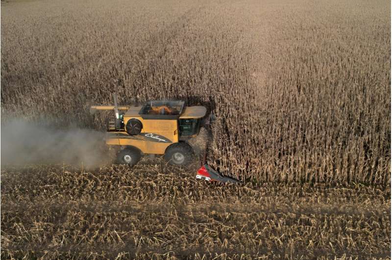 A farmer harvests his corn fields in Lobos, Buenos Aires province, Argentina. A farmer harvests his corn fields in Lobos, Buenos Aires province, Argentina