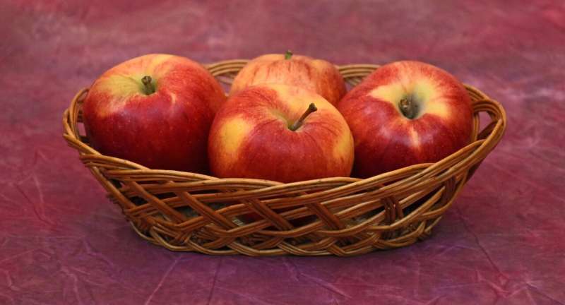 Credit: Pixabay/CC0 Public Domain gala apple
