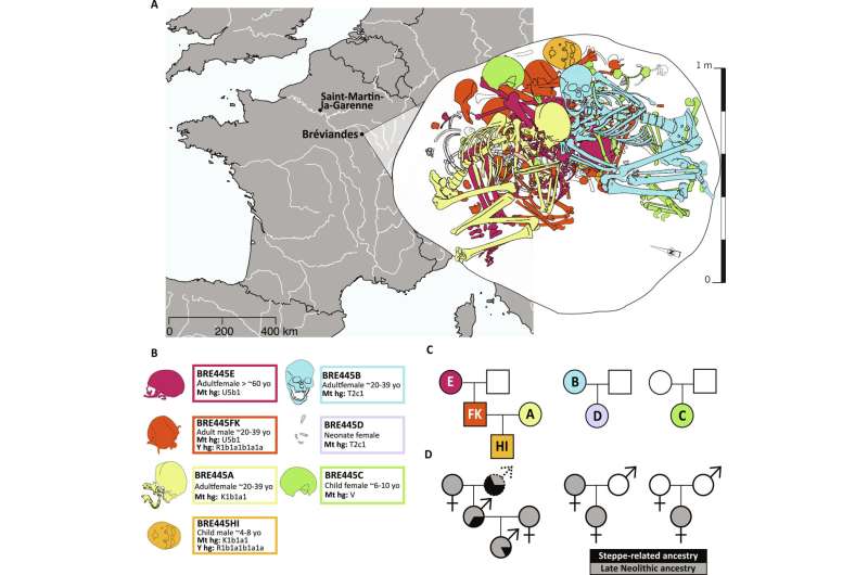 A collective burial in the Paris Basin. (A) Map showing geographical locations of samples analyzed in this study. Schematic representation of the collective burial at Bréviandes. (B) Estimated age of death and uniparental haplogroup information of the Bréviandes individuals. (C) Pedigree plots showing kin relationships between the Bréviandes individuals. (D) Pedigree plots showing the genomic component of steppe-related and Late Neolithic ancestries between the Bréviandes individuals. Credit: Science Advances (2024). DOI: 10.1126/sciadv.adl2468 Gravesite in France offers evidence of steppe integration with Late Neolithic Europeans