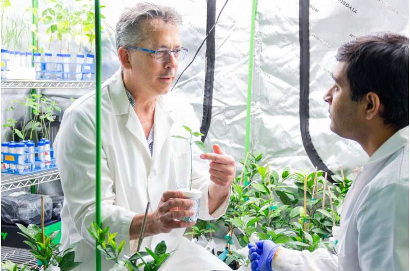 How medical models can transform agriculture