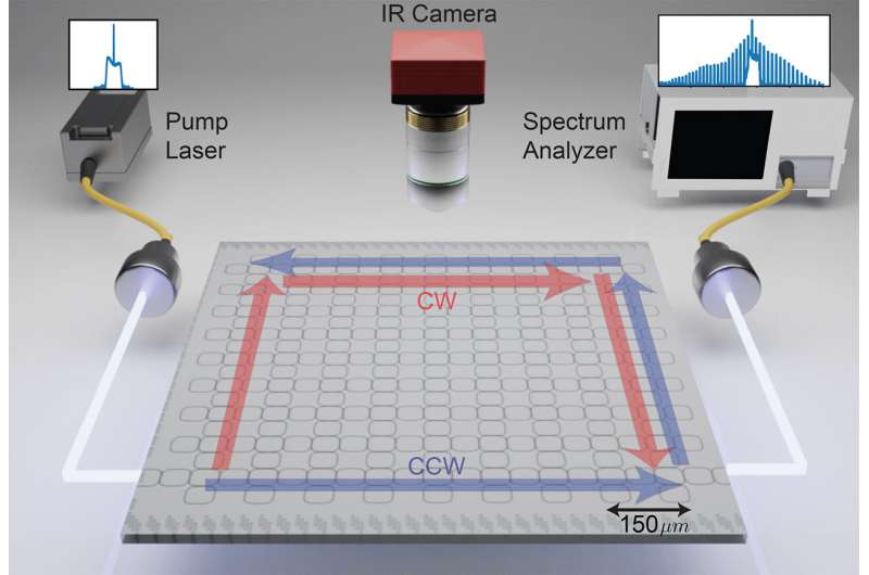 A schematic of the new experiment. Incoming pulsed laser light (the pump laser) enters a chip that hosts hundreds of microrings. Researchers used an IR camera above the chip to capture images of light circulating around the edge of the chip, and they used a spectrum analyzer to detect a nested frequency comb in the circulating light. Credit: C. Flower New Photonic Chip Spawns Nested Topological Frequency Comb