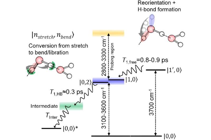Schematic of the vibrational relaxation process of OH stretch at the air/water (H2O) interface. Credit: Nature Communications (2024). DOI: 10.1038/s41467-024-45388-8 Spectroscopic technique that singles out water molecules lying on the surface reveals how they relax after being excited