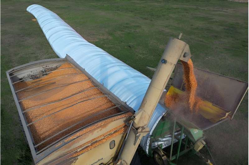 The combination of increased production and unfavorable economic conditions has left Argentina's fields dotted with 'silo bags' -- basically, tons of harvested soybeans and grains wrapped in plastic. The combination of increased production and unfavorable economic conditions has left Argentina's fields dotted with 'silo bags' -- basically, tons of harvested soybeans and grains wrapped in plastic